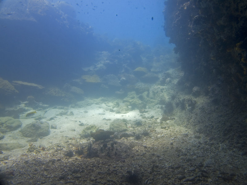 Underwater Scene, Marine Park